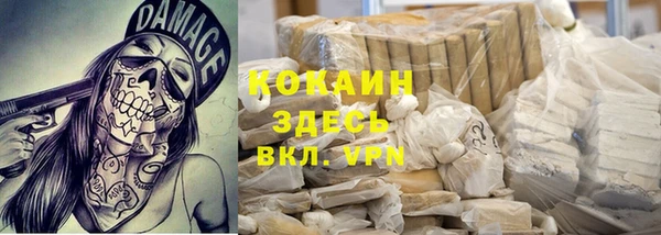 молекула духа Алексин